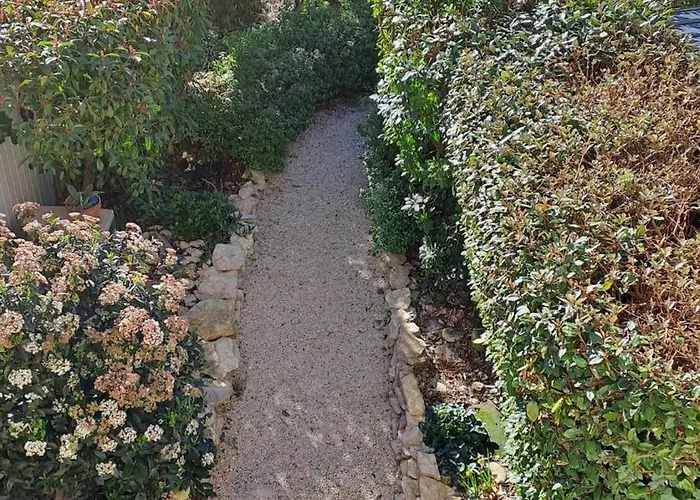 Les Sauges Calvisson